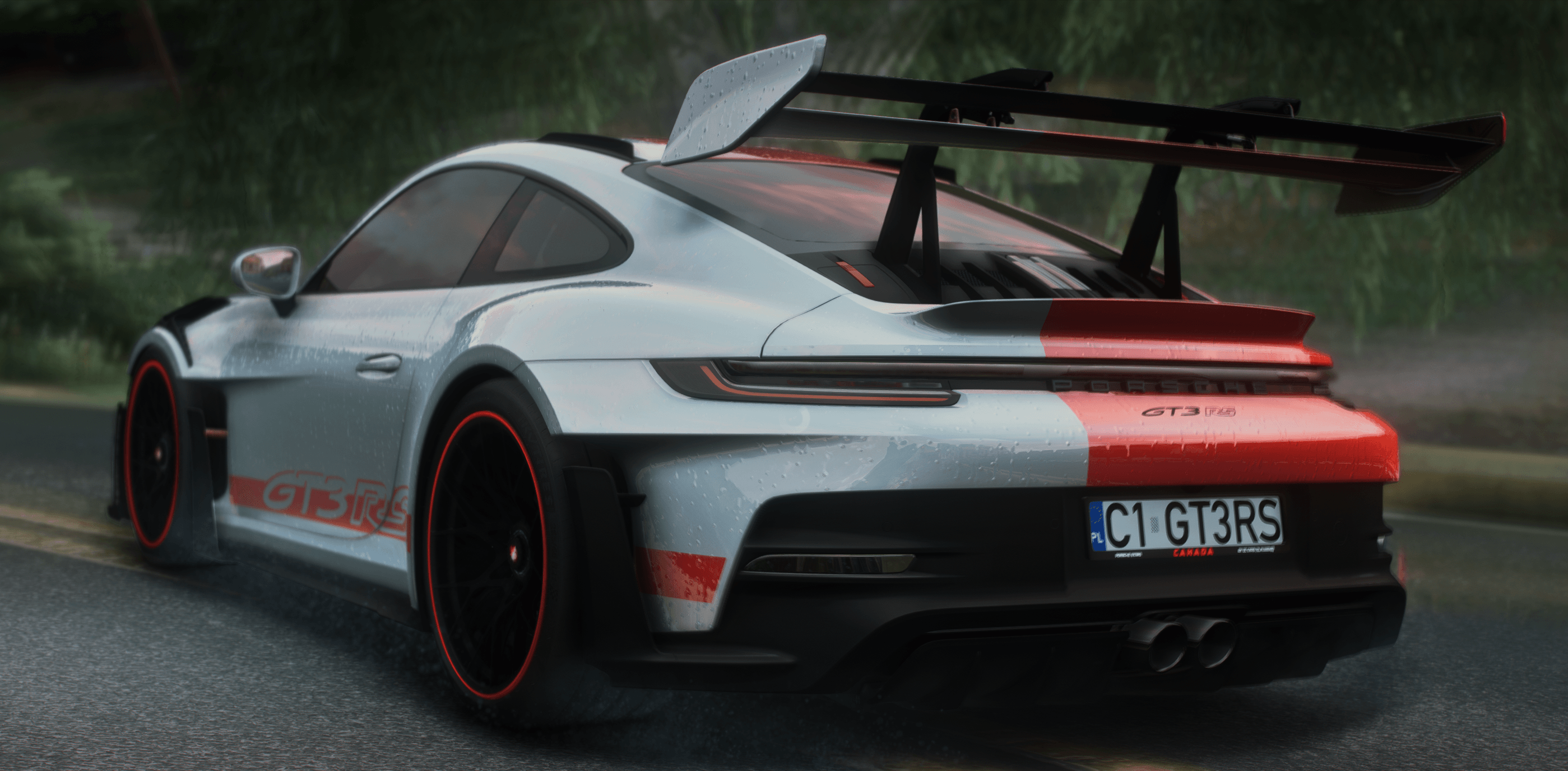 PORSCHE GT3 RS | CANADA CHARITY [5 SEATER] image 2